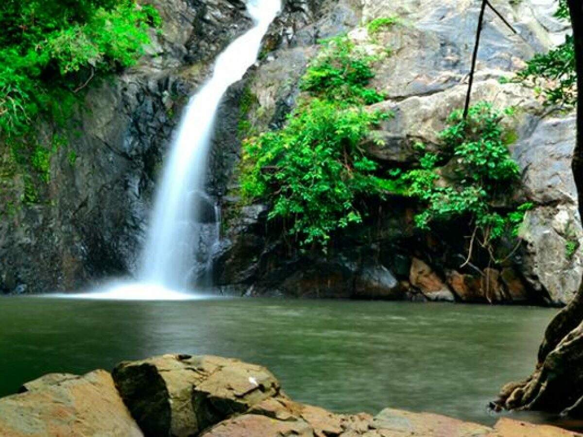 Cachoeiras de Macacu Rio de Janeiro fonte: www.appai.org.br