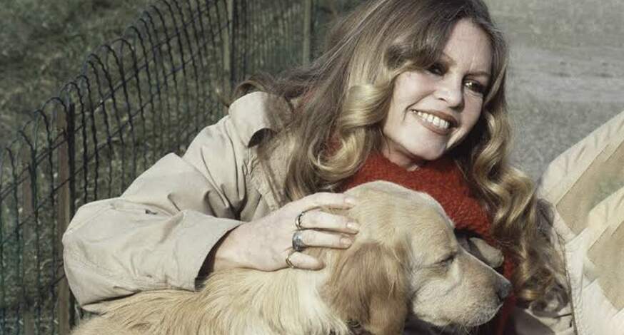 mulher acariciando cachorro